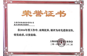 大團鎮“市先進(jìn)保安隊”榮譽(yù)證書(shū)